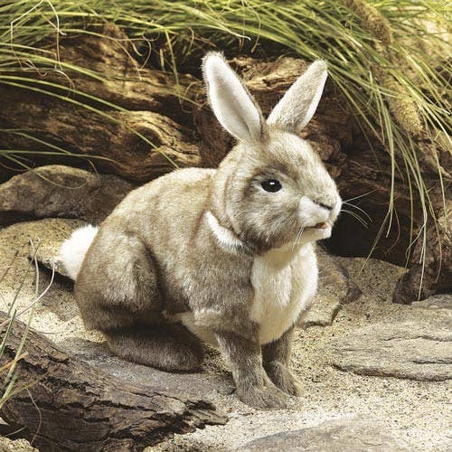 Marionnette à main Lapin Cottontail 2891/ Lapin, Cottontail Folkmanis réaliste