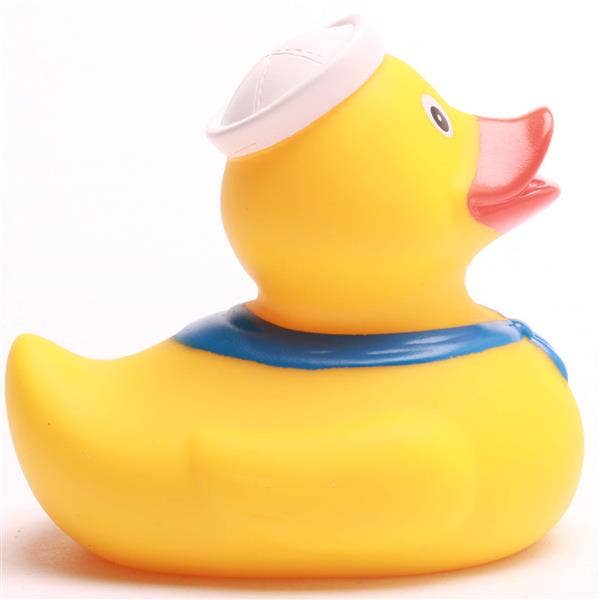 Sea Duck