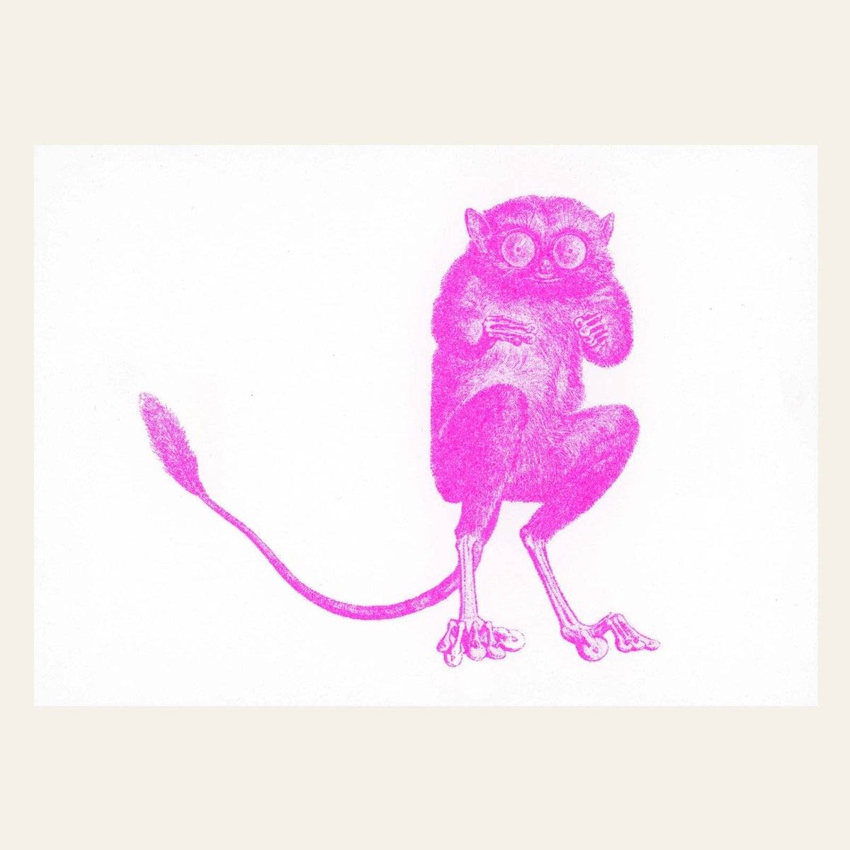 Neon Pink Tarsier Postcard