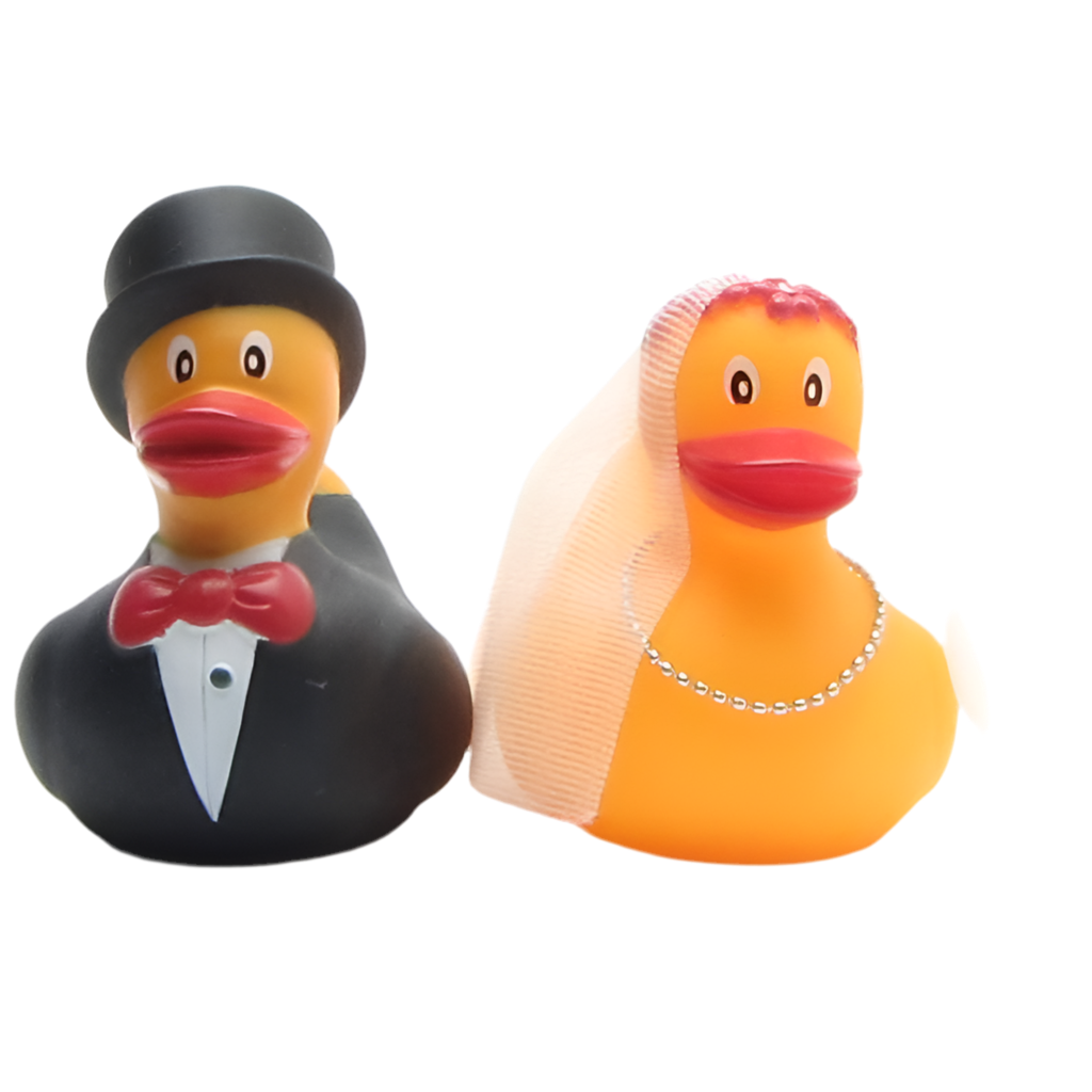 Couple de Canards Mariés Duckshop CoinCaillerie