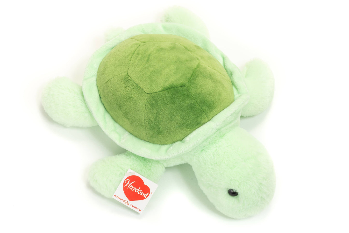 Peluche Tortue Sandy