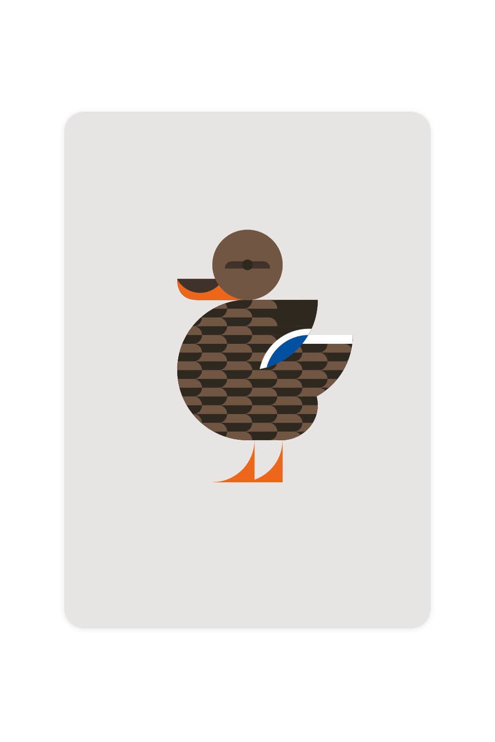 Carte postale avec Canard colvert - La femme