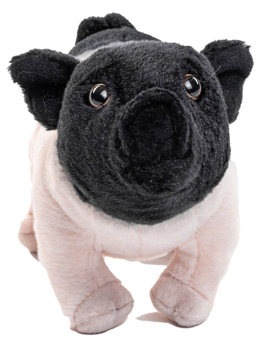 Peluche swabian-hällisches landschwein Uni Toys