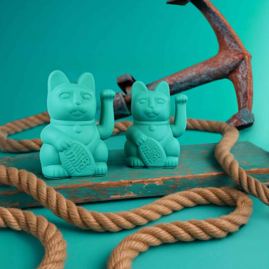 Glückliche Türkis-Katze