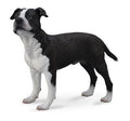 Collecta Chiens (L): STAFFORDSHIRE AMÉRICAIN TERRIER 9.5x6.8cm