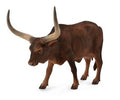 Collecta La ferme (L): WATUSI VACHE 12,8x8,1x10cm