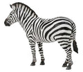 Collecta Animaux sauvages (L): ZÈBRE DES PLAINES 12.4x9.3cm