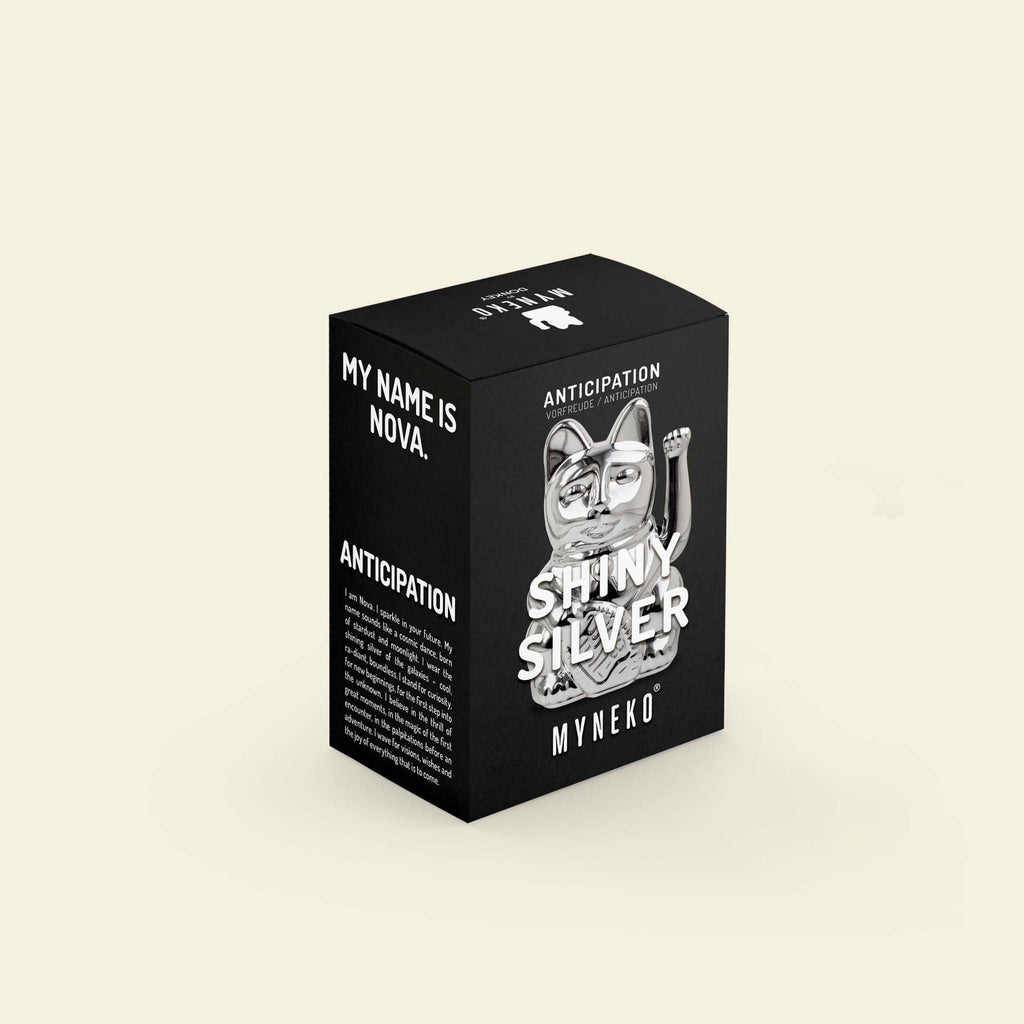 Vue du produit : Mini Chat Chanceux Argent Brillant “Nova” – Donkey Products
