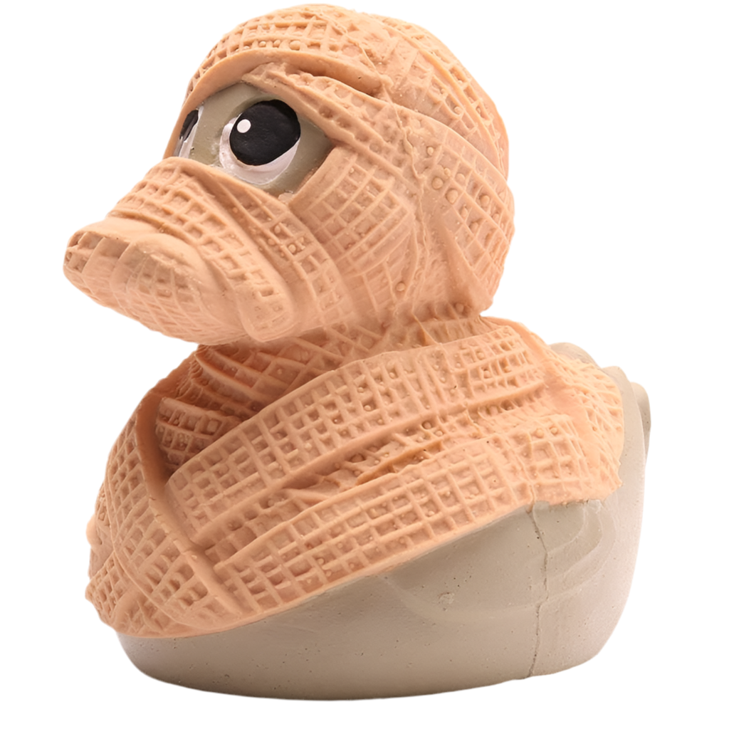 Canard Momie