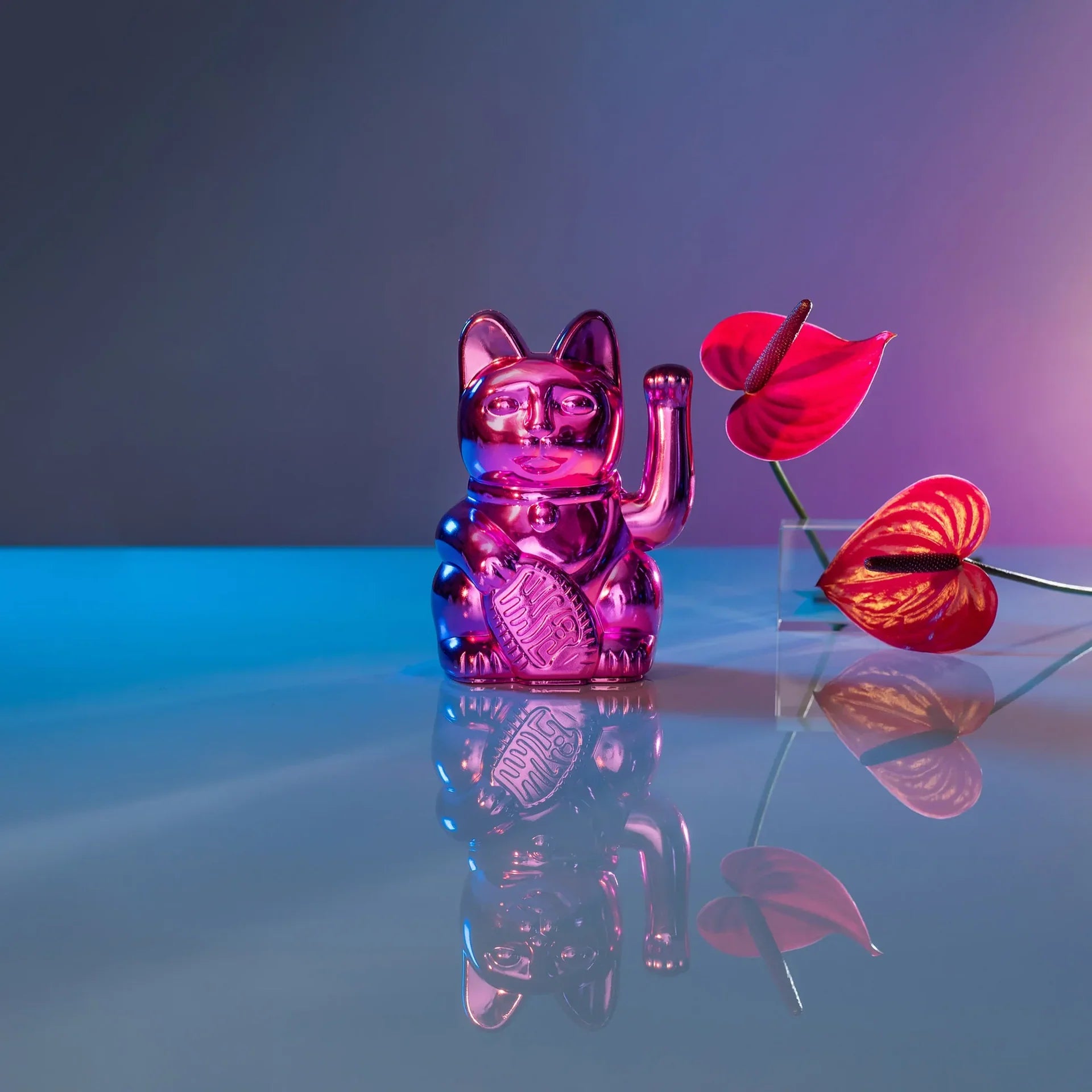 Chat Chanceux Rose Brillant - Cosmic Edition - le Chat Chanceux