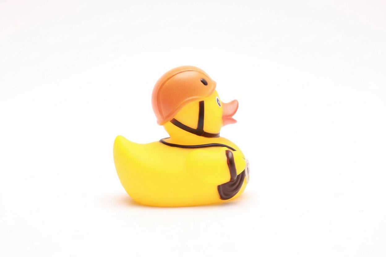 Canard Alpiniste