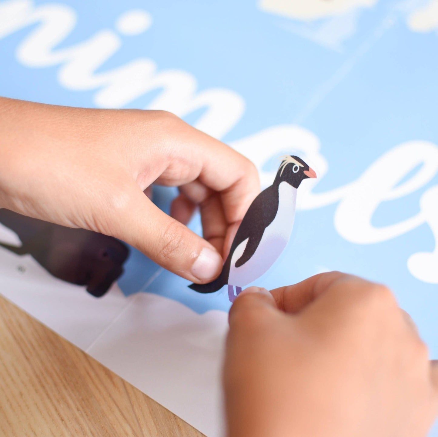 Les animaux du monde - Poster en stickers - Discovery 5+