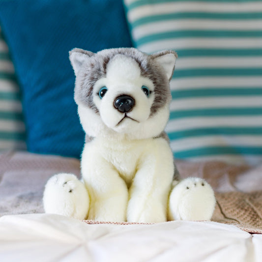 ANIMIGOS MONDE DE LA NATURE CHIEN HUSKY