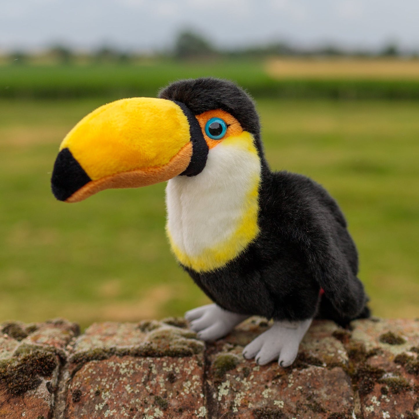 ANIMIGOS MONDE DE LA NATURE TOUCAN