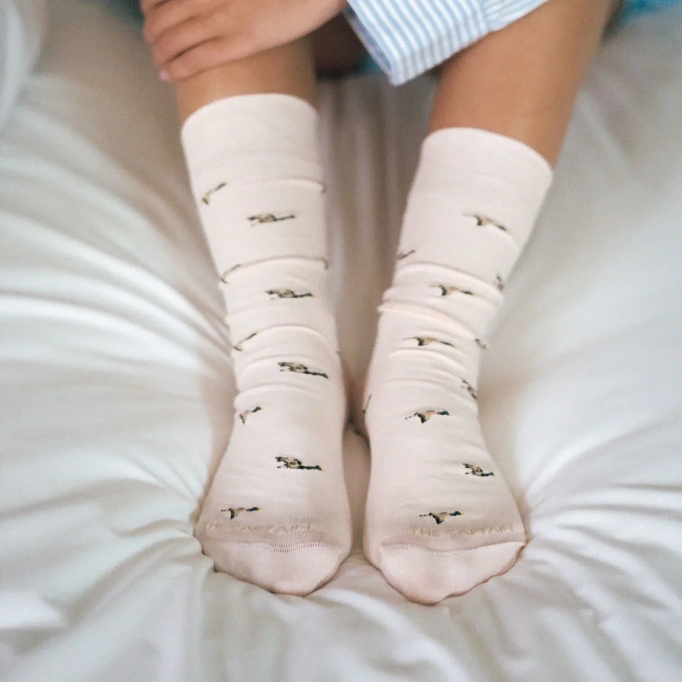 chaussettes canards colverts the captain socks 
