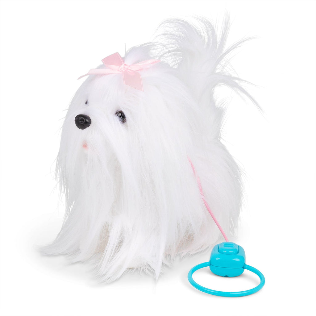 Animigos Bichon Maltais