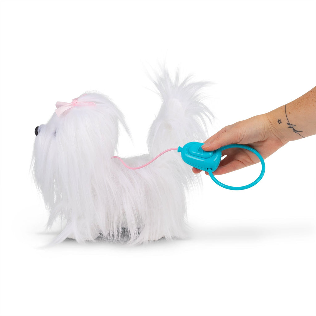 Animigos Bichon Maltais