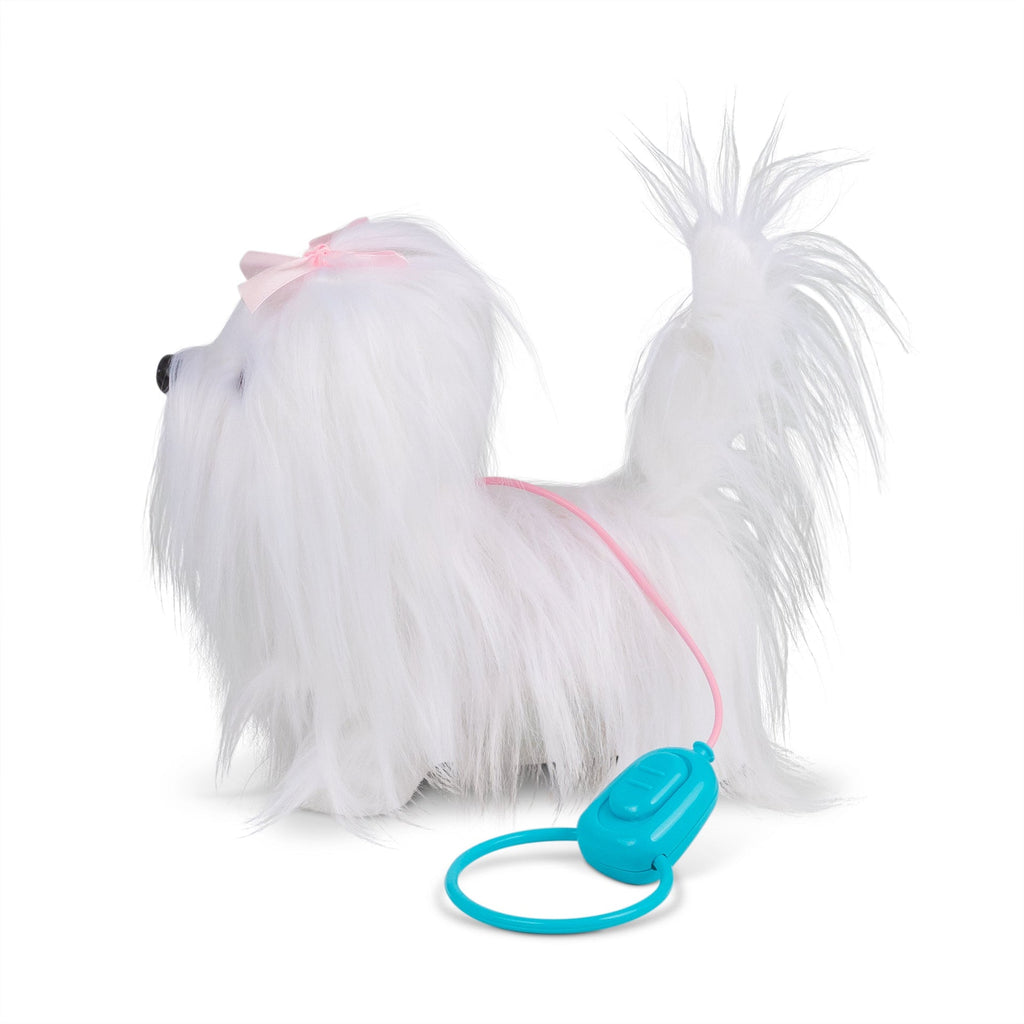 Animigos Bichon Maltais