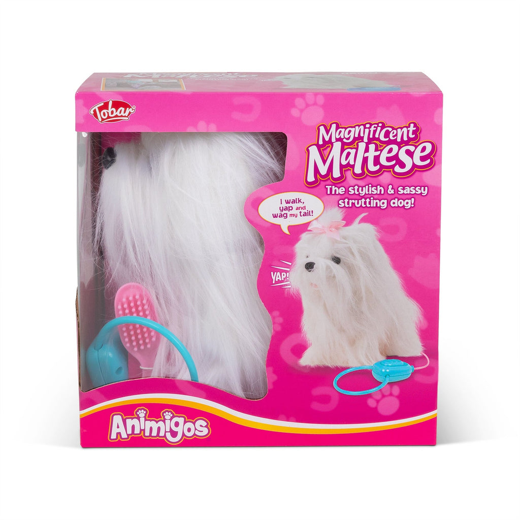 Animigos Bichon Maltais