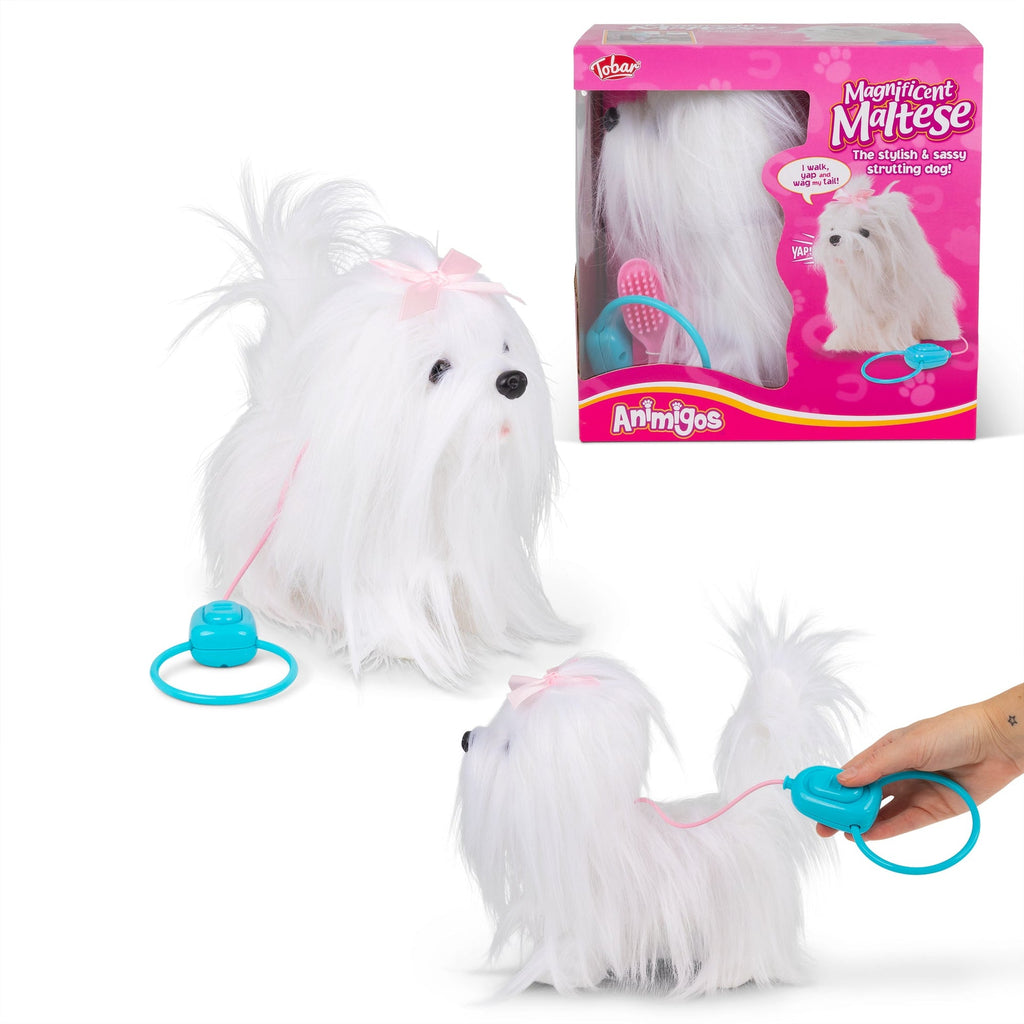 Animigos Bichon Maltais