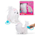 Animigos Bichon Maltais