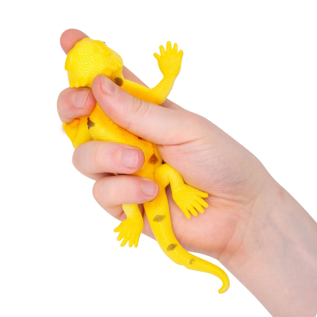 LÉZARDS QUI CHANGENT DE COULEUR