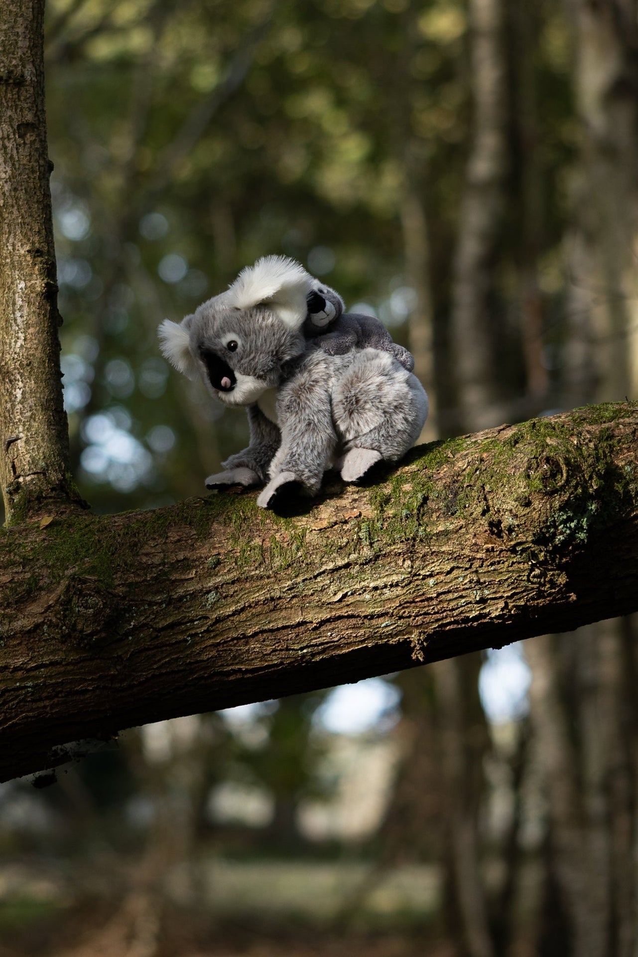ANIMIGOS MONDE DE LA NATURE KOALA ET BÉBÉ
