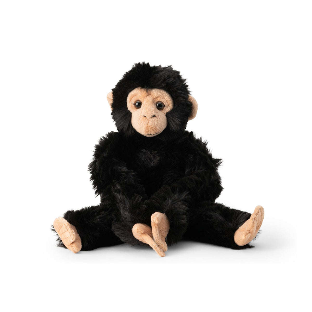 ANIMIGOS MONDE DE LA NATURE CHIMPANZÉ SUSPENDU