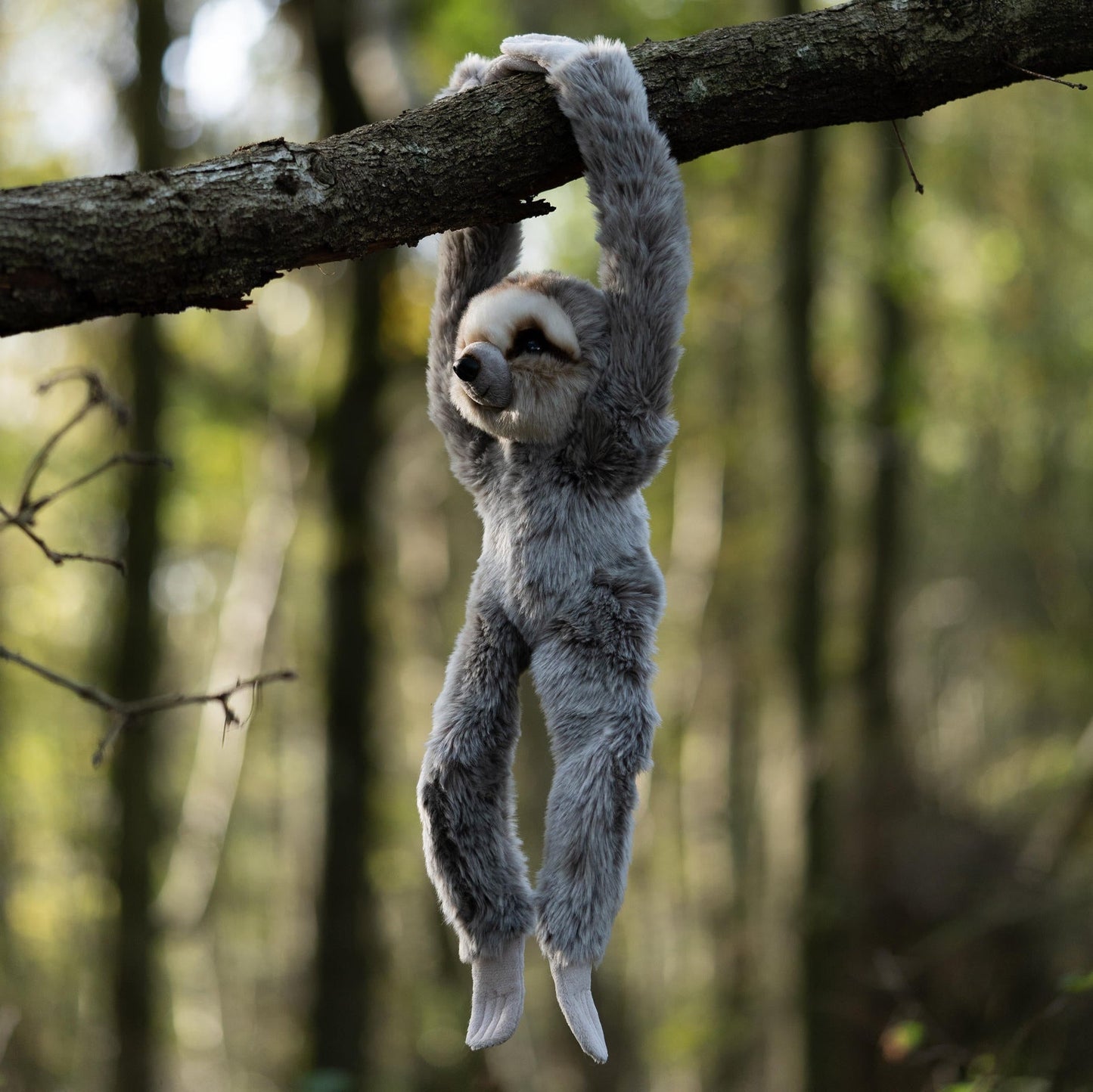 ANIMIGOS MONDE DE LA NATURE PARESSEUX SUSPENDU