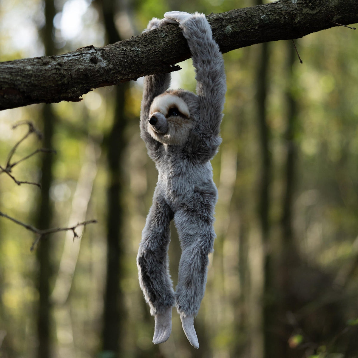 ANIMIGOS MONDE DE LA NATURE PARESSEUX SUSPENDU