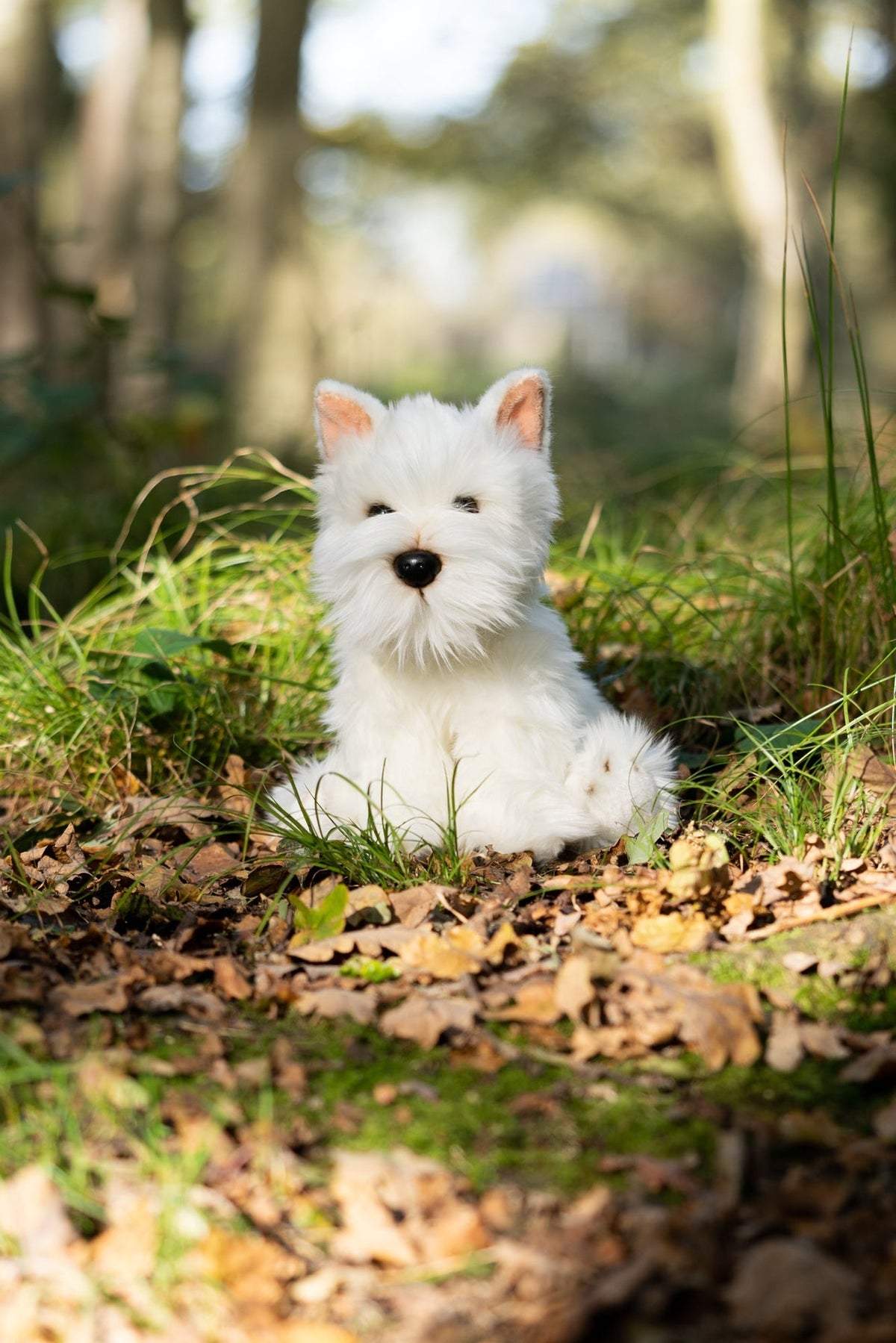 Peluche Westie Animigos – World of Nature