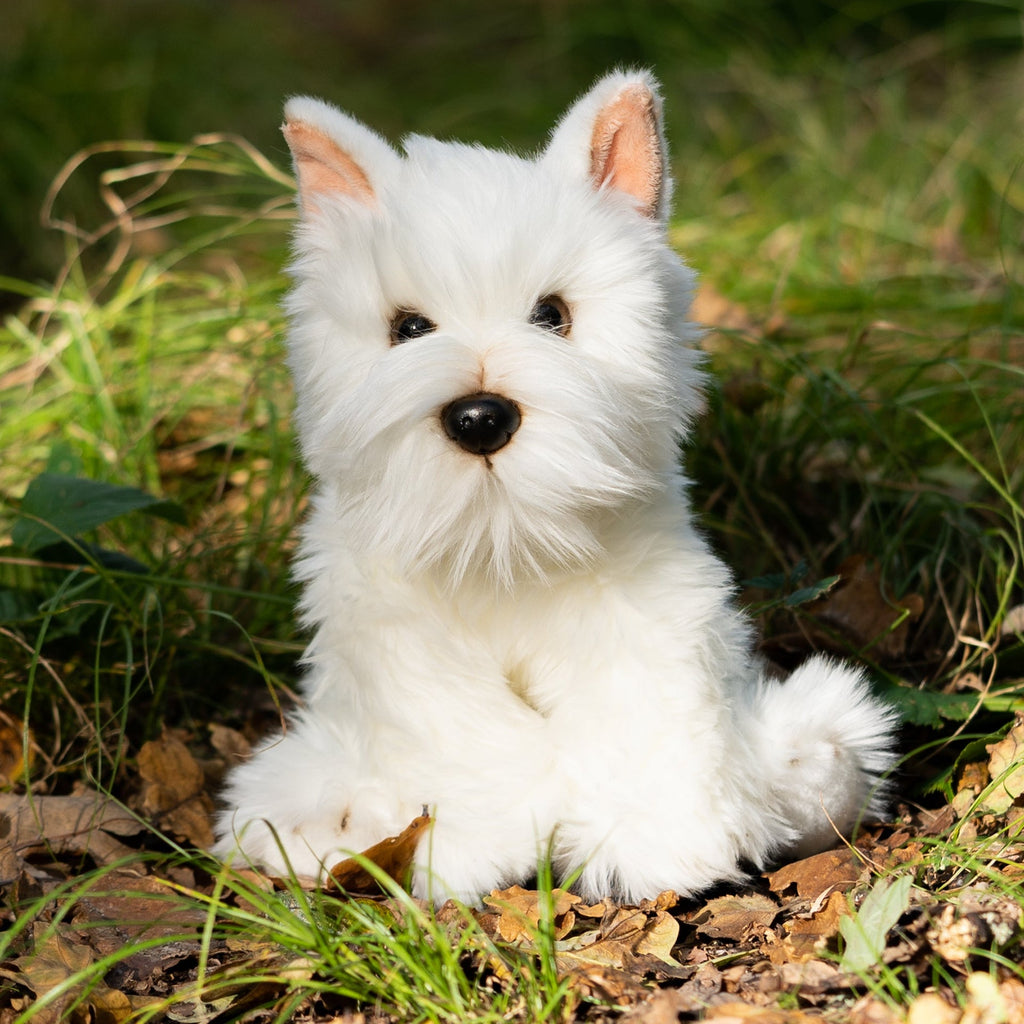 Peluche Westie Animigos – World of Nature