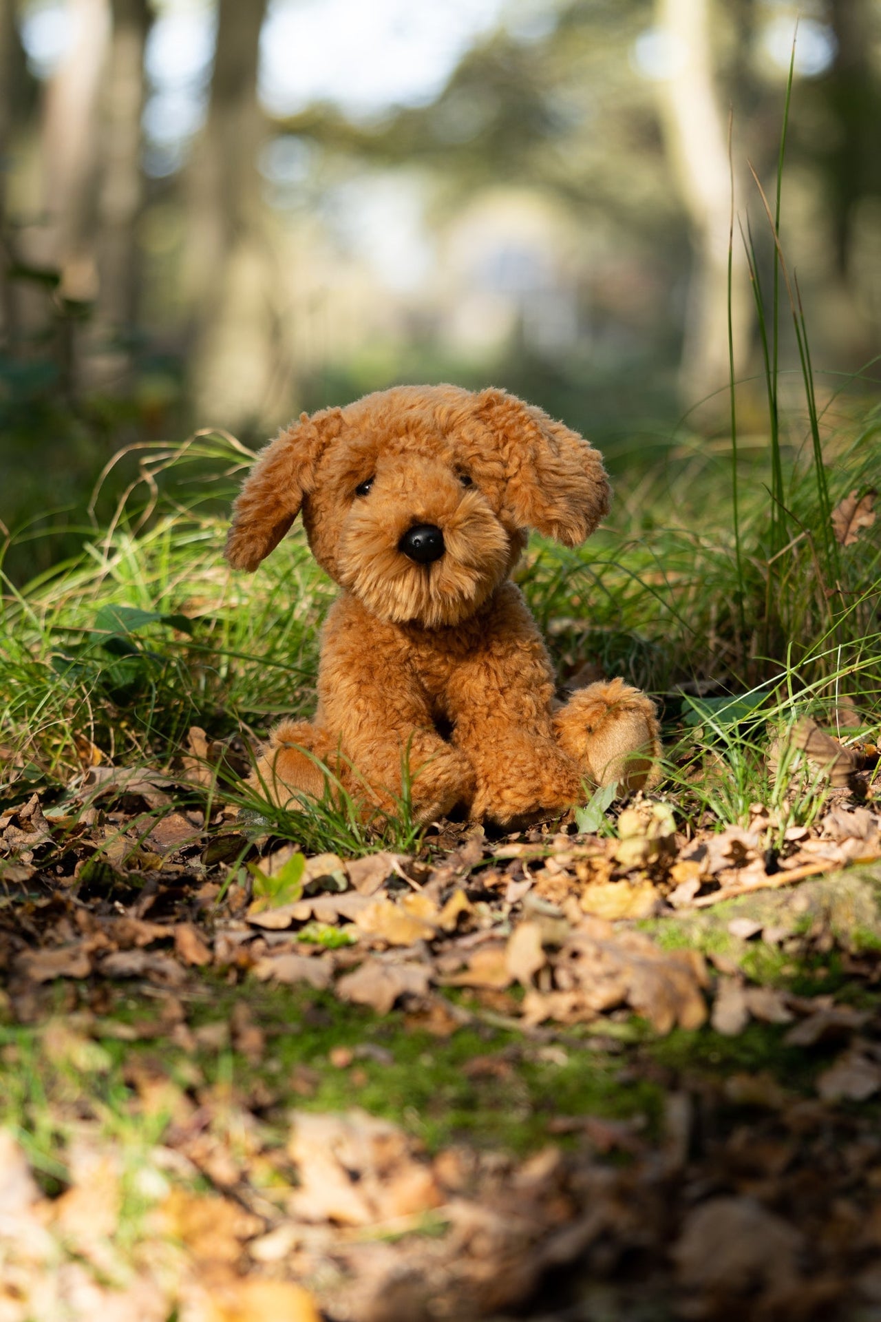 ANIMIGOS MONDE DE LA NATURE CHIEN COCKAPOO