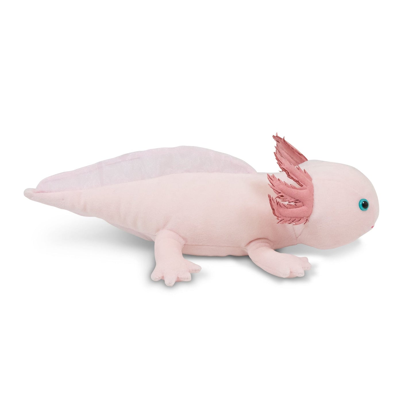 ANIMIGOS MONDE DE LA NATURE AXOLOTL