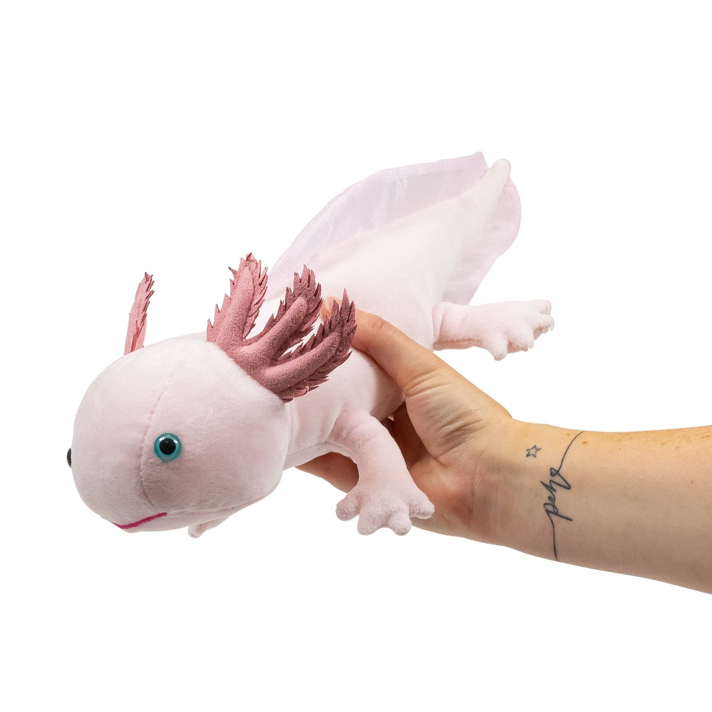 ANIMIGOS MONDE DE LA NATURE AXOLOTL