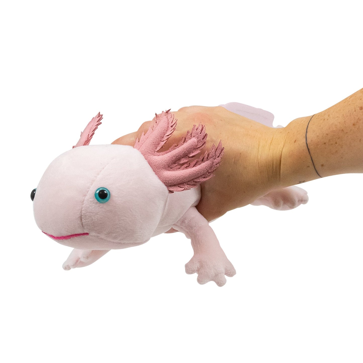 ANIMIGOS MONDE DE LA NATURE AXOLOTL