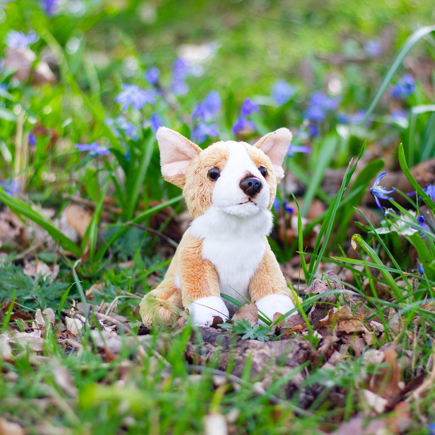 ANIMIGOS LE MONDE DE LA NATURE MINI CORGI