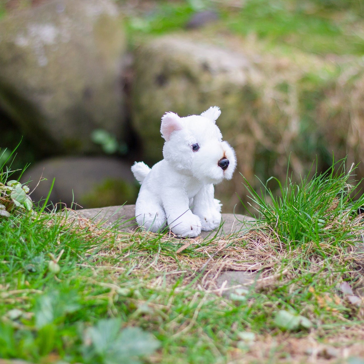 ANIMIGOS LE MONDE DE LA NATURE MINI WESTIE