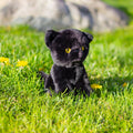 ANIMIGOS LE MONDE DE LA NATURE 18CM CHAT NOIR