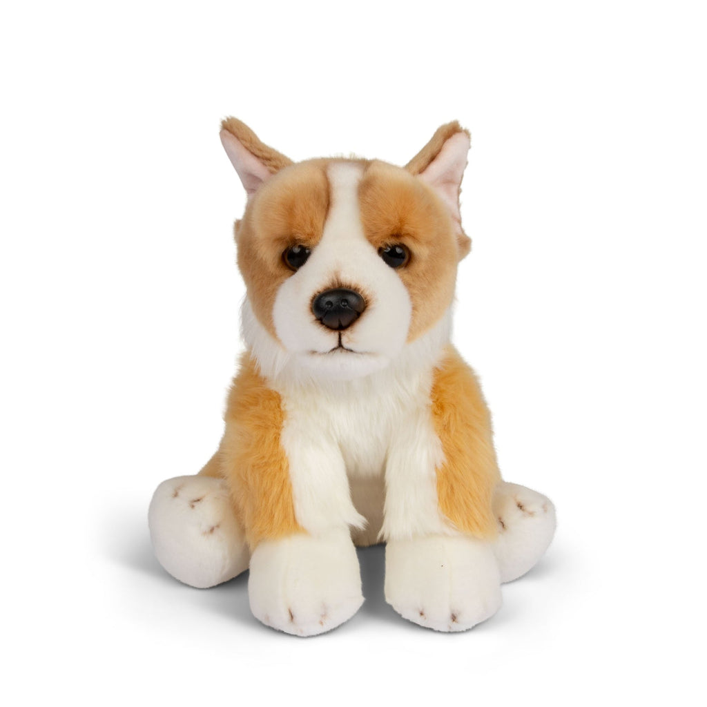 Peluche Corgi Animigos World of Nature – 30 cm