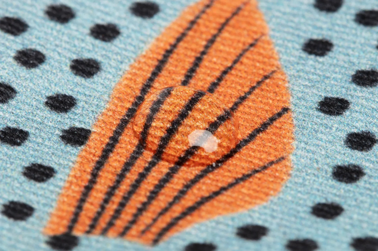 Monedero Pez Barrendero