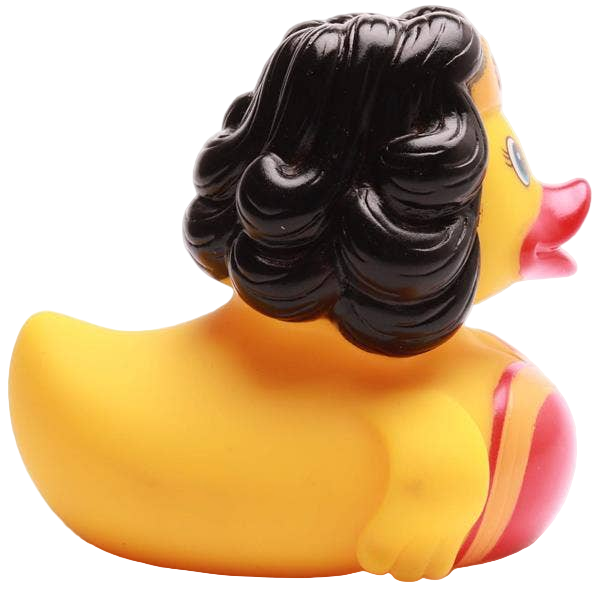 Canard WonderCanard
