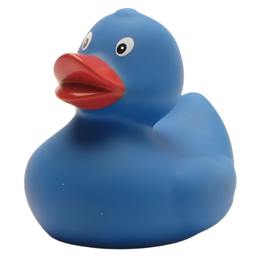 canard classique bleu