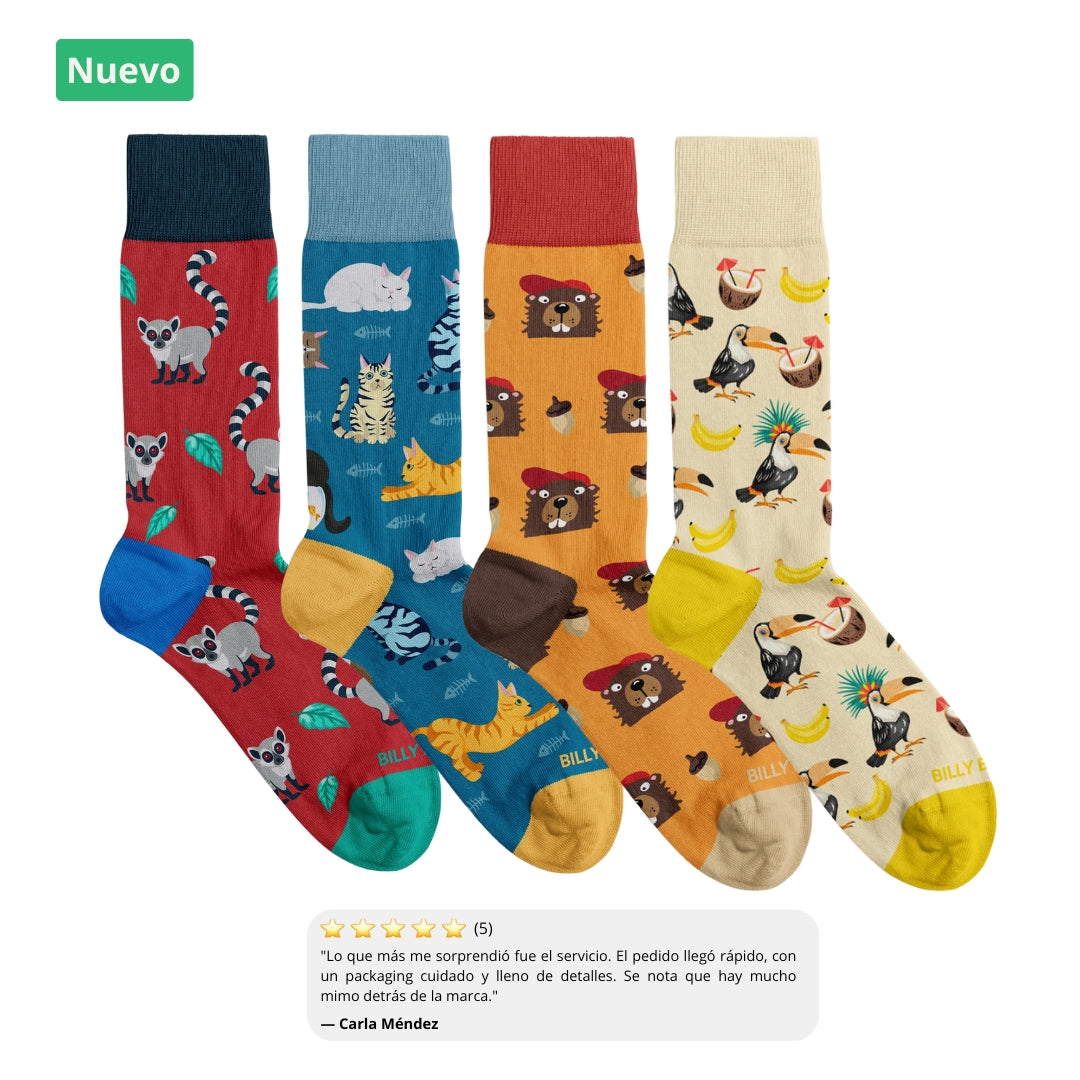 Pack Chaussettes Animal Lover 🦁🦜🐯