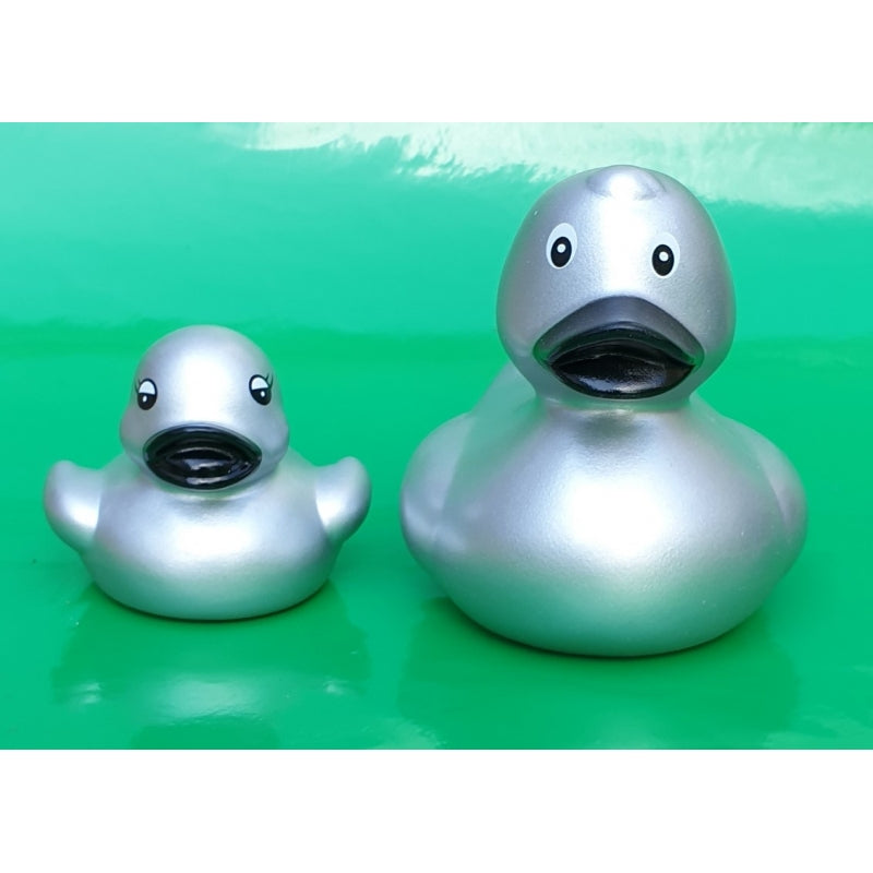 petit canard argente 