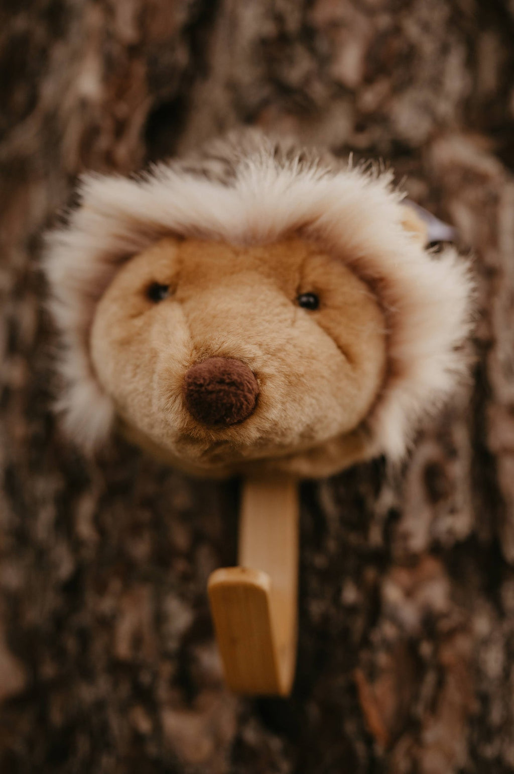 Porte-manteau Hedgehog - Wild & Soft