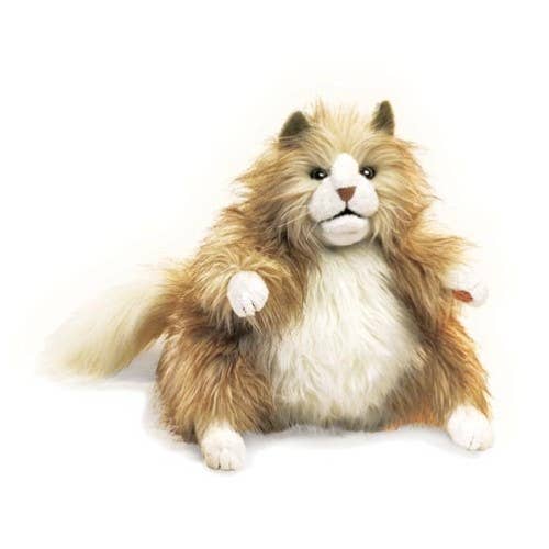 Marionnette à main Chubby Cat/Fluffy Cat 2566 Folkmanis réaliste