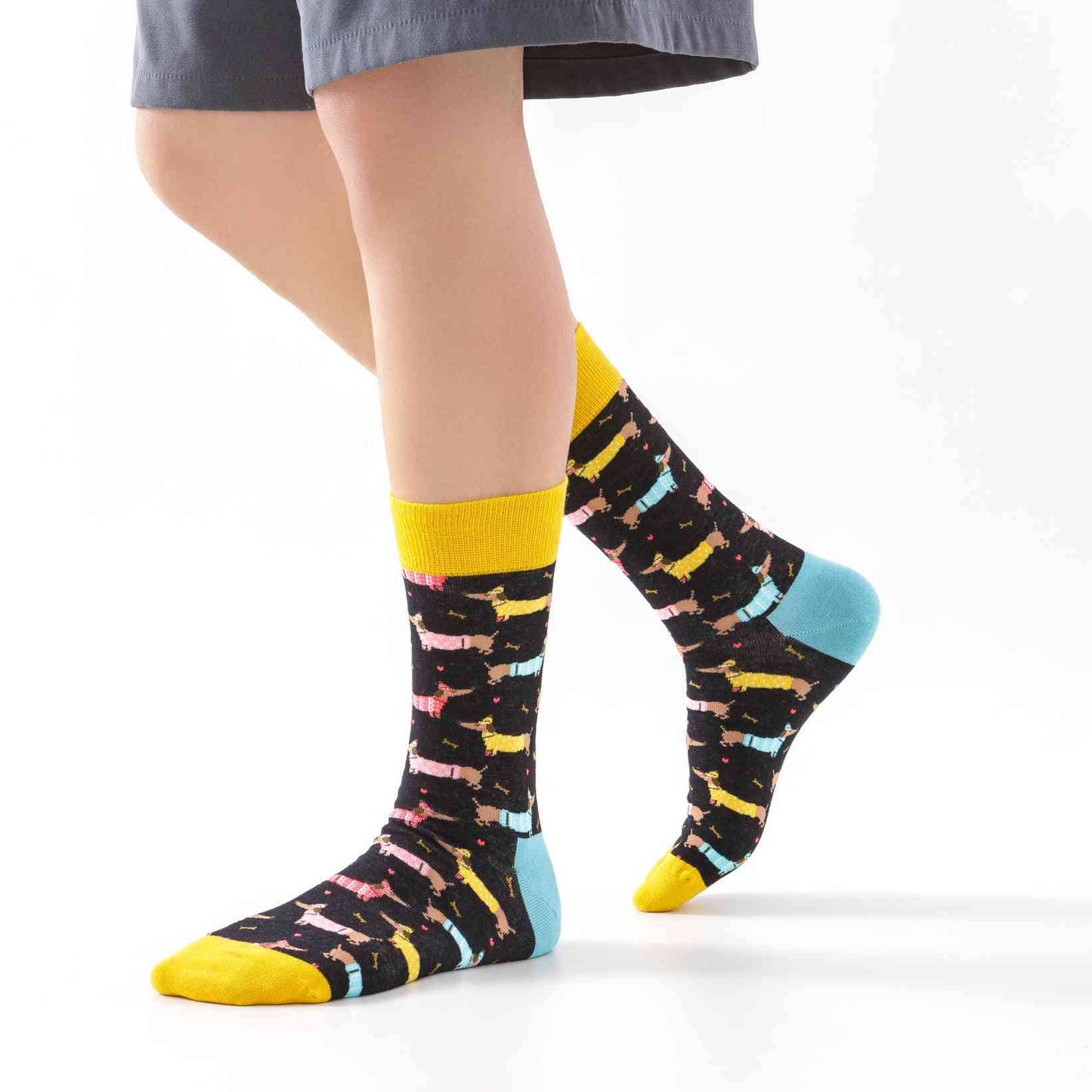 Chaussettes Teckels avec pull