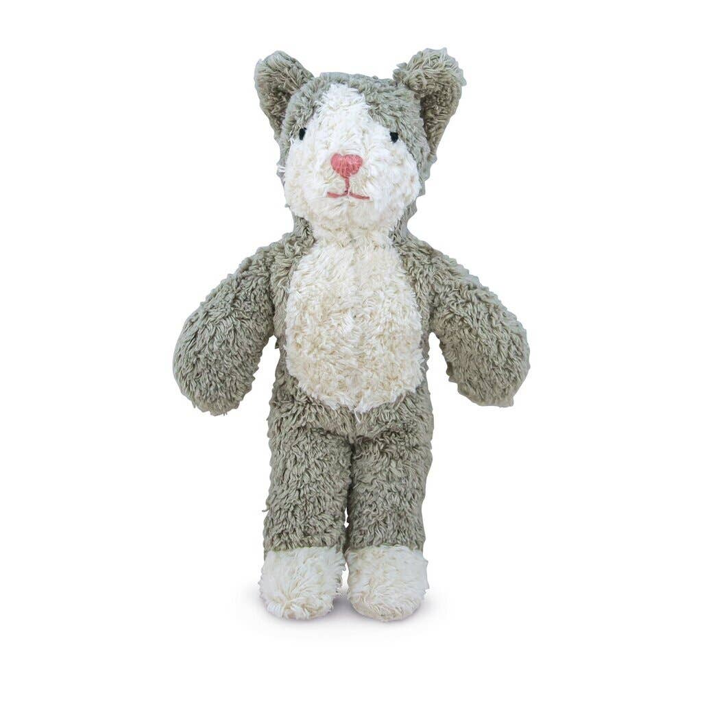 Animal Bébé Chat