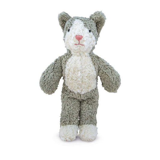 Animal Bébé Chat